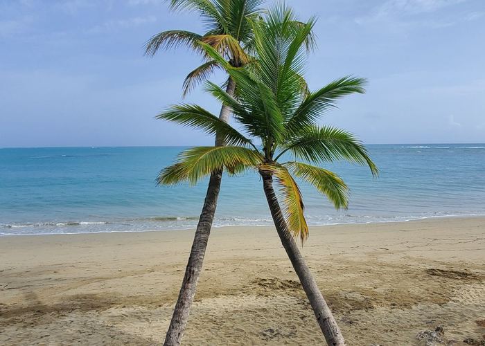 Caribbean